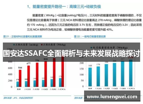 国安达SSAFC全面解析与未来发展战略探讨 国安达SSAFC全面解析与未来发展战略探讨