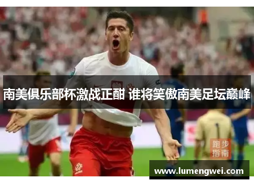 南美俱乐部杯激战正酣 谁将笑傲南美足坛巅峰