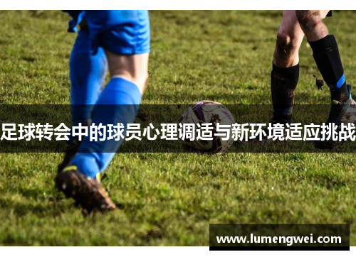 足球转会中的球员心理调适与新环境适应挑战 足球转会中的球员心理调适与新环境适应挑战